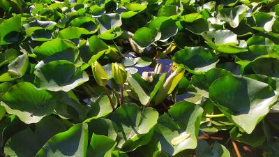 Прикрепленное изображение: hnJb5-tL7wY.jpg